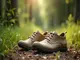 barfu-schuhe-im-gro-en-test-was-sagt-die-stiftung-warentest