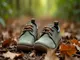 barfu-schuhe-von-froddo-die-perfekte-wahl-fuer-kleine-abenteurer